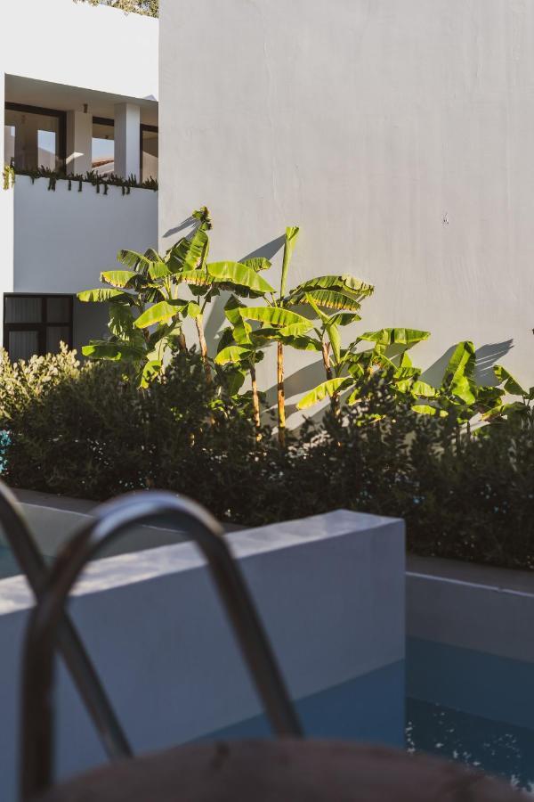 Hotel Cavo Vezal (Adults Only) Laganas Exterior foto